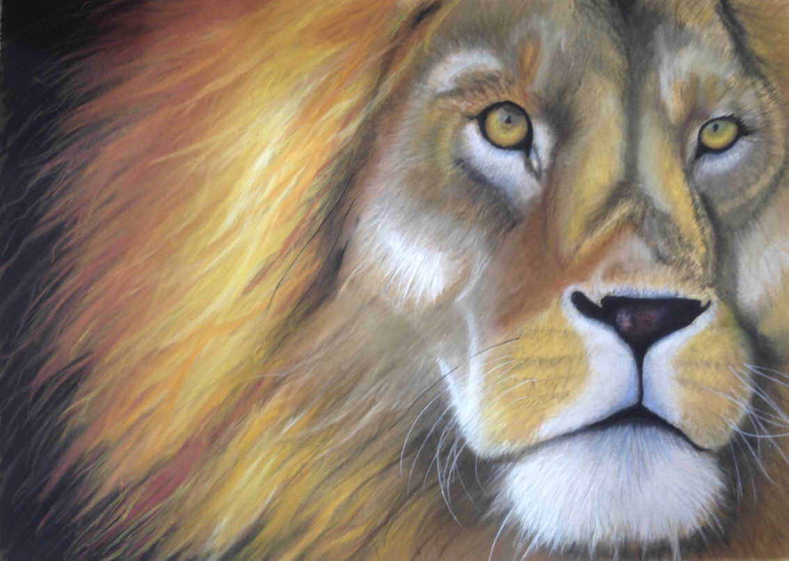 Pastellbild von Alfhild Dukat "Löwe"