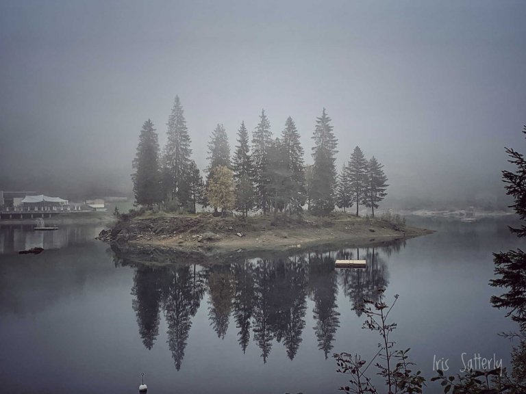 Nebel durch die Gegend schleicht